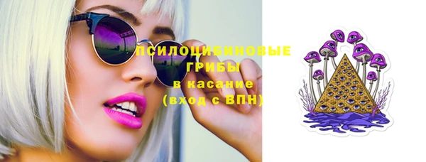 СК Бронницы