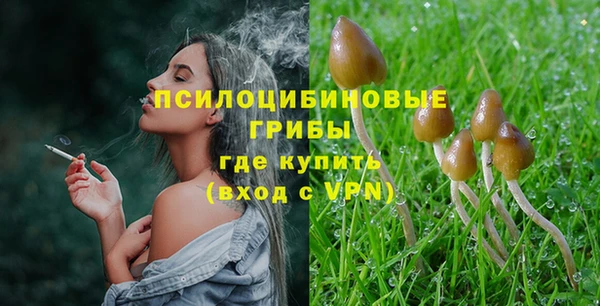 Альфа ПВП Бугульма